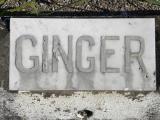 image of grave number 720077